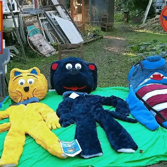 Mascot Heads and Bodysuits